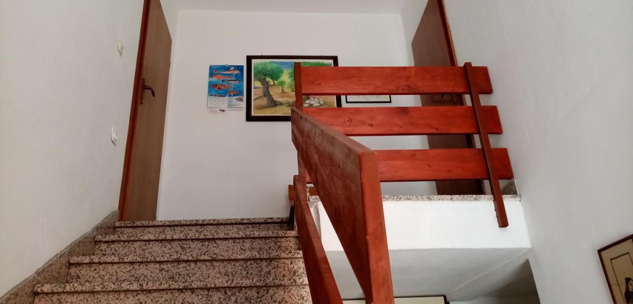 Apartments Bilo Near Primošten Eksteriør billede